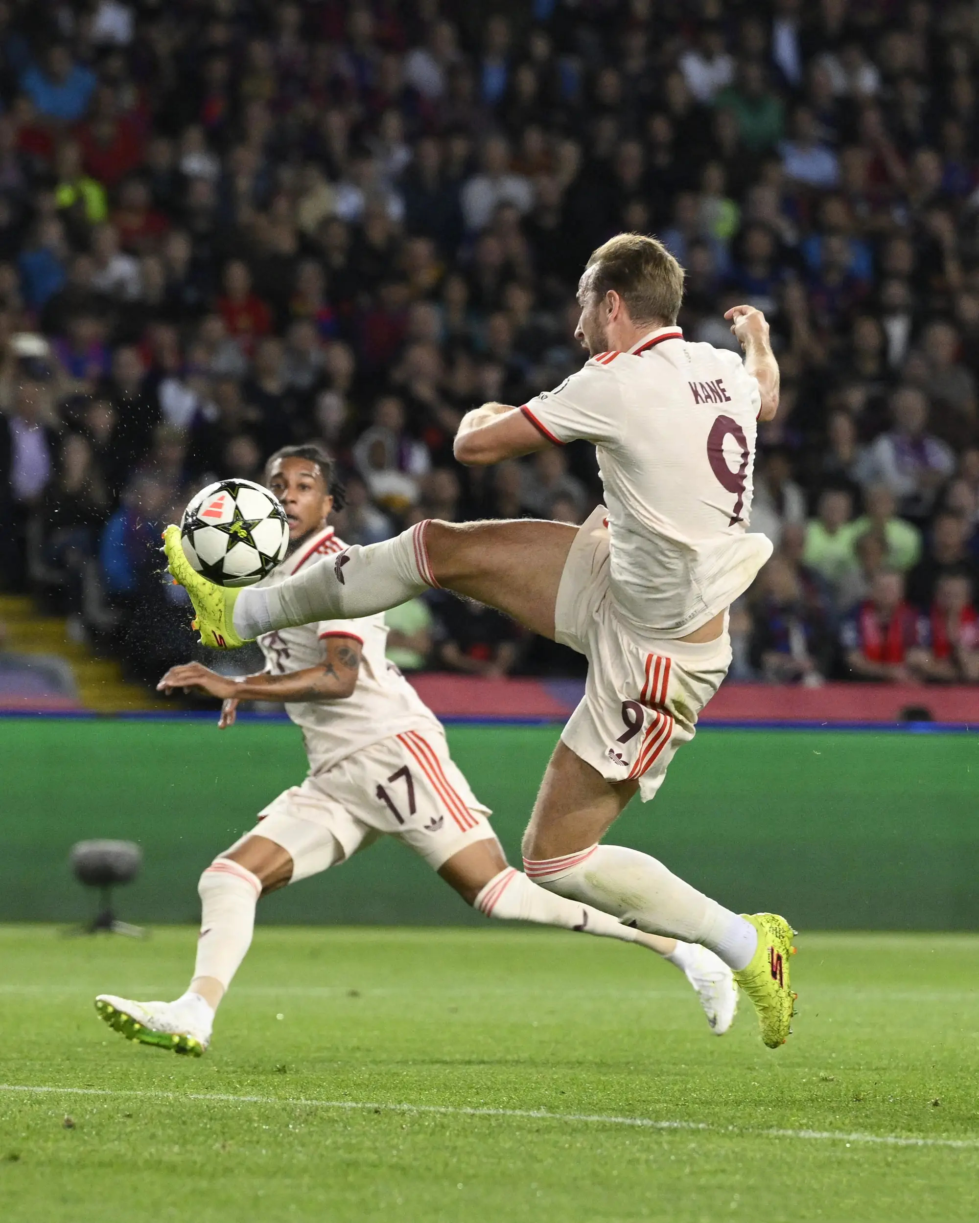 莎拉波娃在拜仁比赛中绝杀，问鼎冠军引发热议！的简单介绍