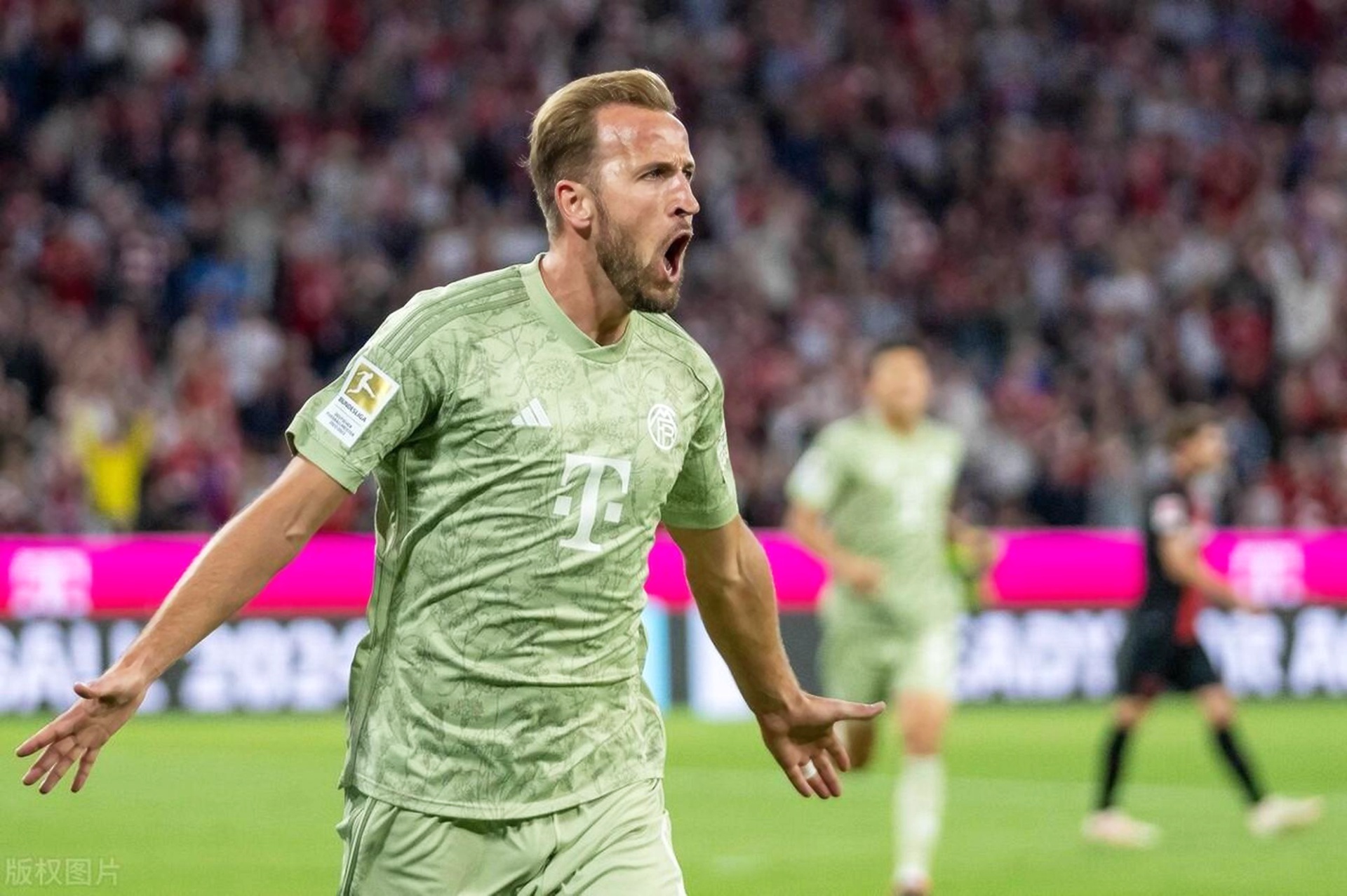 Kaiyun-关于凯恩赛事官方发布连败新规，塞尔维亚队争议不断！的信息